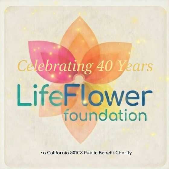 LifeFlower Foundation
